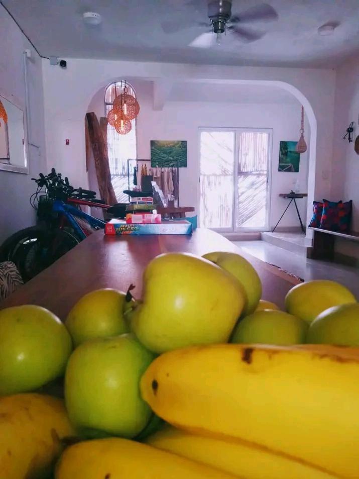 Bed and Breakfast Casa Bizu Bacalar Exterior foto